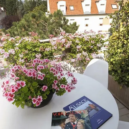Le Duplex D'hestia Кольмар
